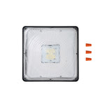 LED canopy light YZ177